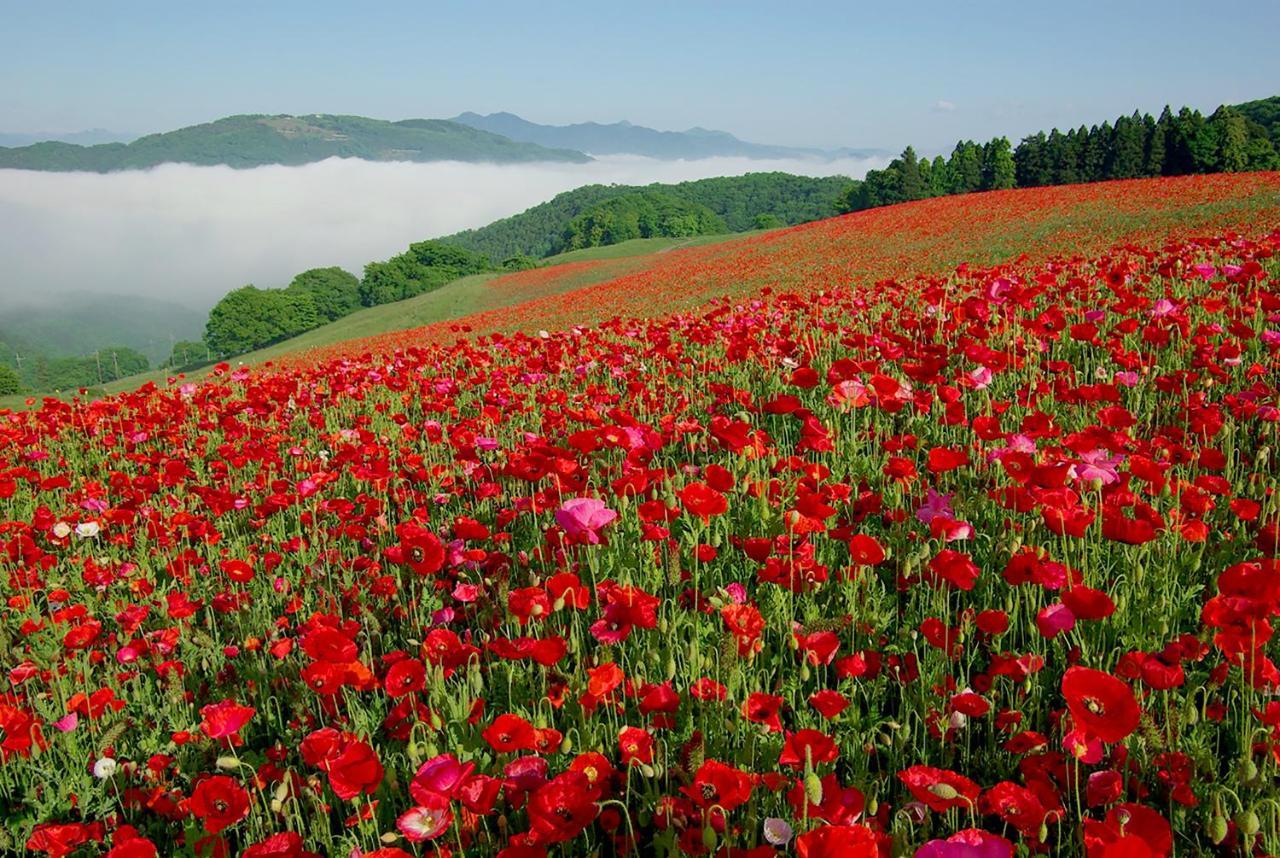 ホテル いこいの村ヘリテイジ美の山 皆野町 エクステリア 写真
