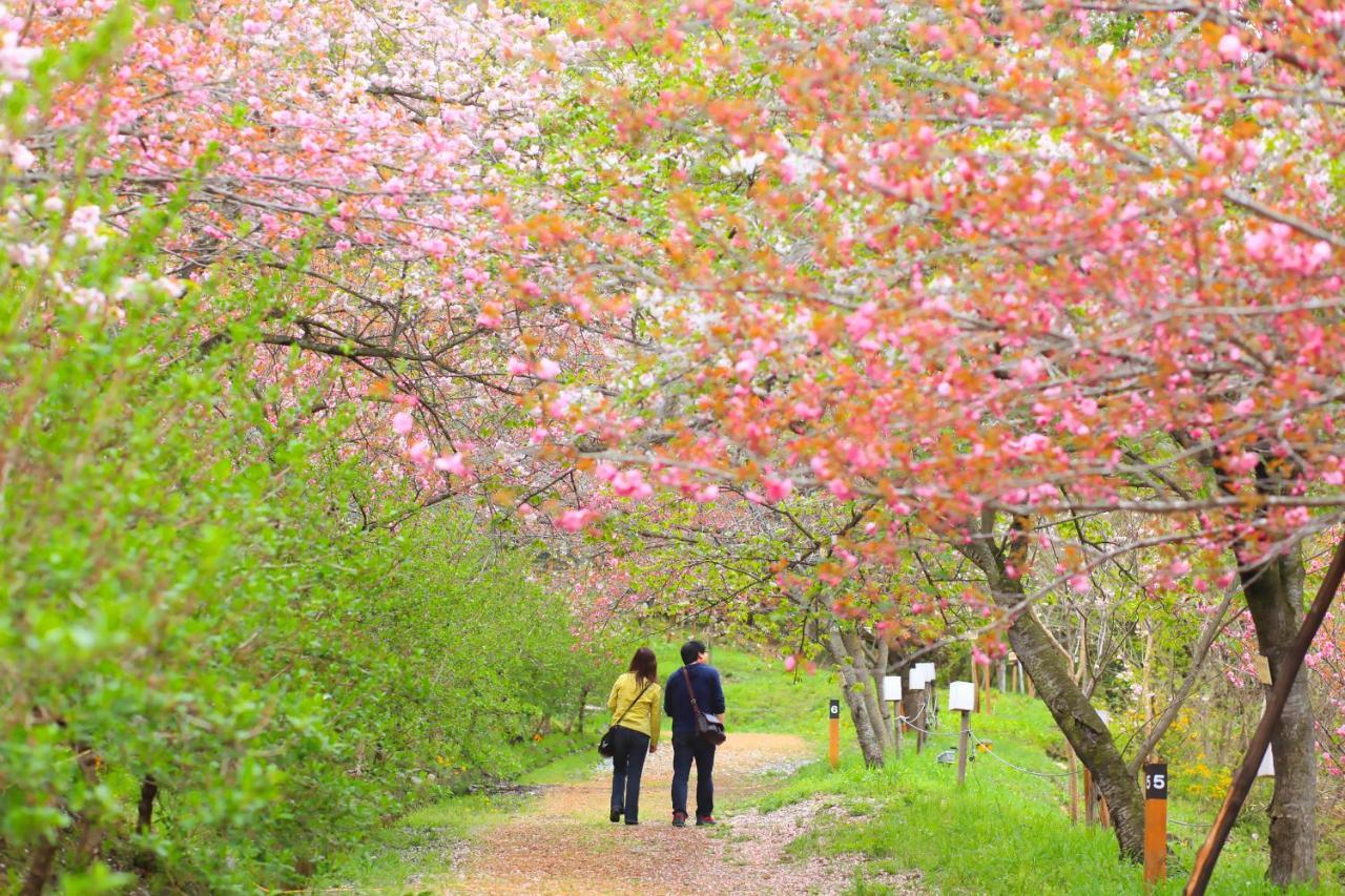ホテル いこいの村ヘリテイジ美の山 皆野町 エクステリア 写真