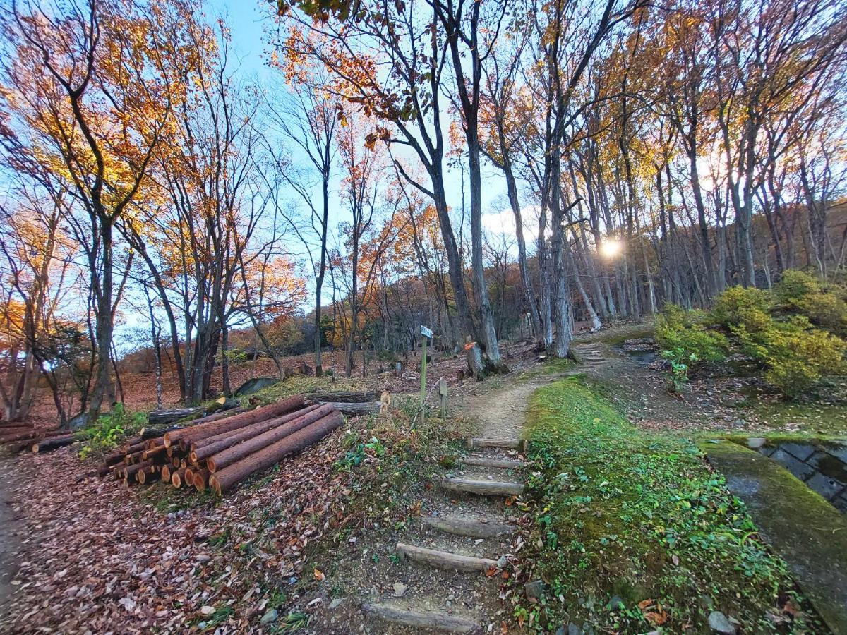 ホテル いこいの村ヘリテイジ美の山 皆野町 エクステリア 写真
