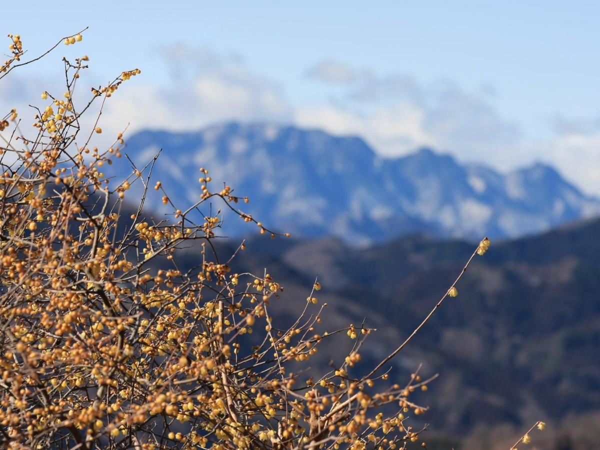ホテル いこいの村ヘリテイジ美の山 皆野町 エクステリア 写真
