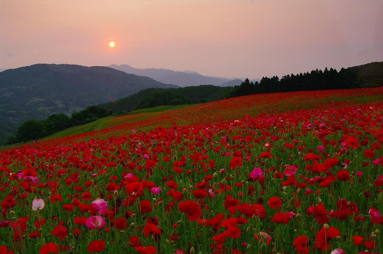ホテル いこいの村ヘリテイジ美の山 皆野町 エクステリア 写真